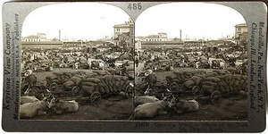 Keystone Stereoview Exporting Wheat, Odessa, Ukraine From Education Set #485 B - Picture 1 of 2