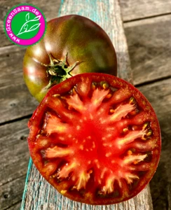Tomatensamen 🍅 TSCHERNIJ PRINZ ♥️10+ Samen historische Sorte süß würzig perfekt - Bild 1 von 9