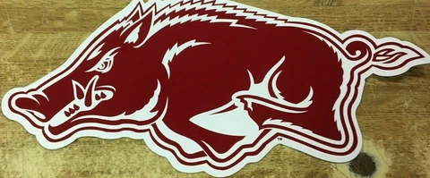 (1) ARKANSAS RAZORBACKS LARGE CAR MAGNET 16 inches Cover