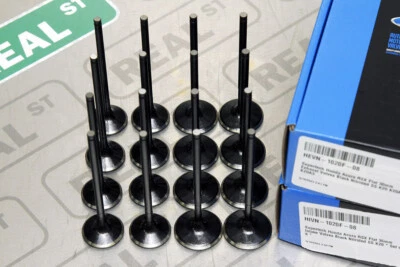 Válvulas planas nitruradas Supertech SS tamaño STD Acura RSX K20A2 K20A3 K24 Foto 1 de 4