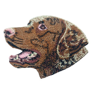 Chesapeake Bay Retriever breed Iron On Embroidered 2.93" X 3.79” Patch