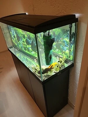aquarium komplett mit unterschrank gebraucht - Bild 1 von 4