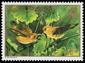 COOK ISLANDS 1017 - Papamoscas Raratonga "Pomarea dimidiata" (pb89954) - Imagen 1 de 1