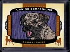 Border Terrier 2018 Upper Deck Goodwin Champions Canine Companions Patch
