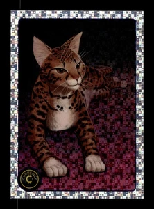 5-11-30 PWE . 2025 cardsmiths currency 5 CRYSTAL SPARKLE HOLOFOIL #26 ashera cat - Bild 1 von 2