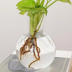 Clear Sphere Bud Vase Clear Round Glass Vase for Wedding Table - Picture 1 of 7