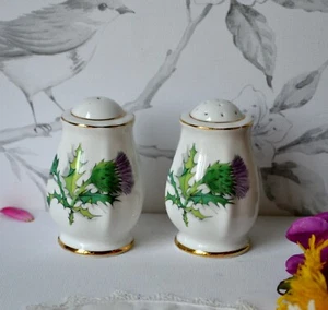 Scotland THISTLE Flowers Bone China SALT & PEPPER SHAKERS 2 Piece Set - Imagen 1 de 6