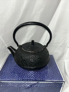 !!!!!!Rare Vintage Thai Cast Iron Teapot Bamboo Pattern!!!!!!! - Picture 1 of 6