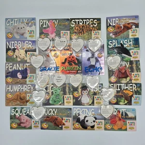 TY Beanie Babies Official Club Bundle – Series II 1999 EU Cards & Swing Tags VGC - Picture 1 of 19