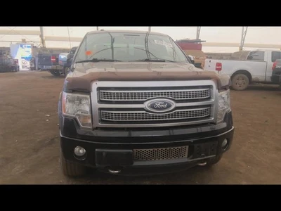 (LOCAL PICKUP ONLY) Hood Fits 09-14 FORD F150 PICKUP 6708273 Foto 1 de 4