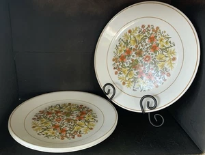 Juego de 4 platos de cena de verano indios Corelle Cottagecore Harvest de colección otoño - Imagen 1 de 3