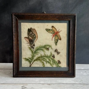 Antique 19th Century Pith Paper Painting Moths Insects C 1820 - Picture 1 of 5