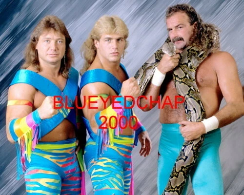 FOTO DE LUCHA LIBRE 8 X 10 ROCKERS JANNETTY & MICHAELS & JAKE ROBERTS WWF Foto 1 de 1