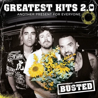Busted Greatest Hits 2.0: Another Present for Everyone (Vinyl) - Image 1 of 2