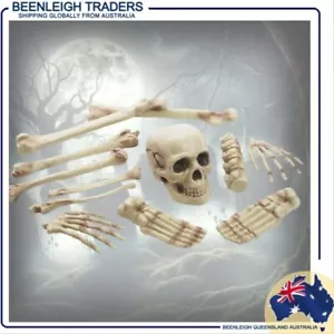 BAG OF BONES PARTY DECORATIONS Perfect For Halloween or Theatre Props Brand New - Bild 1 von 7