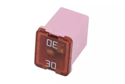 Genuine GM 30 AMP Fuse 22917202 - Image 1 of 4