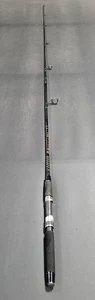 South Bend Black Beauty 6’6" Walleye Medium Action #3345 Spinnrute, sehr guter Zustand - Bild 1 von 20