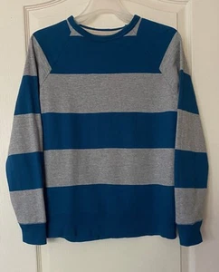 Boys Long Sleeve Crew Neck Size XL Gray Blue Striped Pullover Sweatshirt - Picture 1 of 2