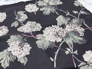 2 Ralph Lauren Black Botanical Hortensia Standard Shams 100% Cotton Rare - Bild 1 von 12