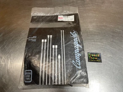 Cambios Campagnolo TT/Tri Bar-End #SL00-BE10CG, con cables y carcasa; 2x10 velocidades Foto 1 de 4