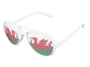 Welsh Glasses Cymru Dragon Flag Novelty Rugby Supporter Wales Fancy Dress Sun - Picture 1 of 2