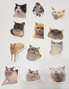 *12* Cat Memes Humorous Cats Faces Waterproof Decorative Vinyl Stickers  - Picture 1 of 3