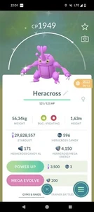 Heracross Brillante 30 Días Comercio o Comercio Registrado 20K - Imagen 1 de 1