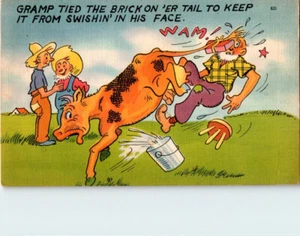 Postal de humor de granja. Charleston 1950 publicado, Carolina del Sur - Imagen 1 de 2
