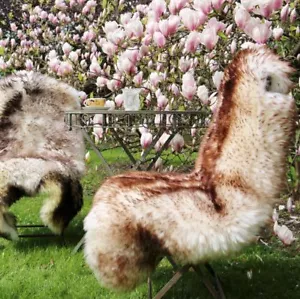 Lammfell Schaffell Stracciatella geflammt Merino Naturfell kuschelig Läufer Deko - Bild 1 von 7