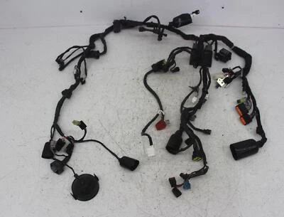 15-21 KAWASAKI VERSYS 650 ARNÉS DE CABLEADO DEL MOTOR TELAR DE CABLE DEL MOTOR Foto 1 de 4