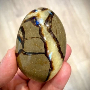 Septarian Crystal Dragon Stone Healing Crystal Yoga Meditation Mineral 30-40mm - Picture 1 of 12
