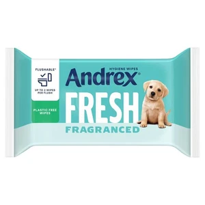 ANDREX Washlets Fresh Fragranced Toilet Wipes with Aloe & Vitamin E – Pack of 6 - Picture 1 of 1