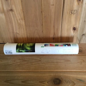 Forest Wallpaper Mural 400 x 280cm 8 Pc - Picture 1 of 7