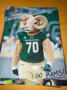 Cam the Ram Colorado State Maskottchen signiert 8x10 Foto - Bild 1 von 1