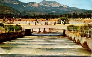 Fish Ladders at Bonneville Dam Columbia River Oregon Postcard - Picture 1 of 2