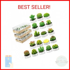 Lawei 18 Pack Cactus Tealight Candles - Handmade Delicate Succulent Mini Plants - Picture 1 of 2