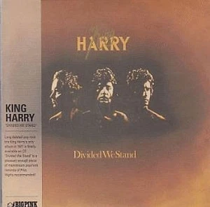 king harry: divided we stand  CD - Picture 1 of 1