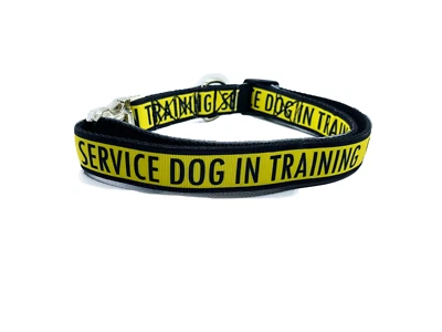 Collar de entrenamiento ajustable para perros de servicio de 1" Foto 1 de 4