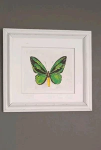 Pintura Acuarela Original Harry Hammond Buterfly TX - Imagen 1 de 6