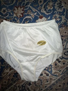 PANTY VINTAGE MISS TERRICA ANTRON III DUPONT NAILON SATINADO ABUELA CINTURA ALTA L - Imagen 1 de 5