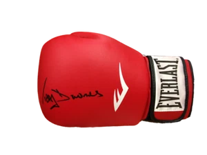 TERRY DOWNES SIGNIERTER EVERLAST BOXHANDSCHUH SIEHE BEWEIS WELTMEISTER COA & BEWEIS - Bild 1 von 2