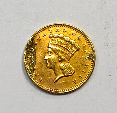 1859 S Indian Princess Large Head $1 Gold Dollar Coin San Francisco - Damaged Cover