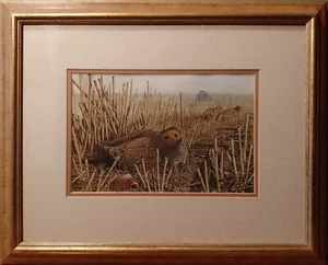 Pintura original firmada de pájaros Chris Shields urouse gouache - Imagen 1 de 19