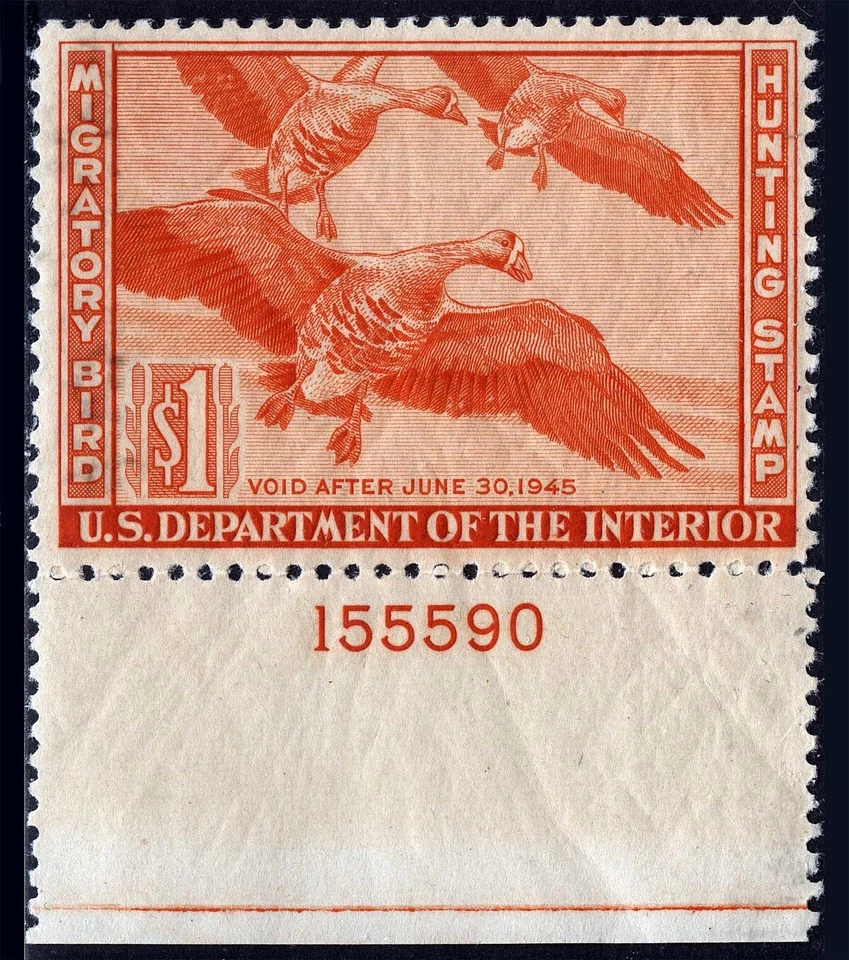 US Sc RW11 Red Orange $1.00 1944 MNH Original Gum Duck Plate No. 155590 Single - Image 1 of 1