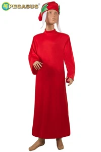 Costume Travestimento Dante Bambino Vestito Carnevale Pegasus Made in Italy - Foto 1 di 3