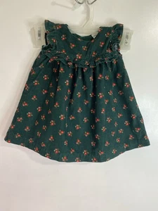 Bebé Niñas 9M Verde Rojo Floral Vestido Volantes Forrado Conjunto de Vacaciones - Imagen 1 de 6