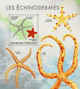STARFISH Sea Stars / Echinoderm Marine Life MNH 1v-Sello Hoja #52 (Togo 2021) - Imagen 1 de 1