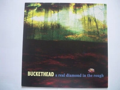 BUCKETHEAD a real diamond in the rough.  Dedicated To Stan Diamond. RARE VINYL. Foto 1 de 4