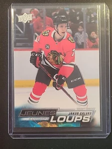 2022-23 Upper Deck Young Guns French Jeunes Loups #225 Jakub Galvas Chicago - Picture 1 of 1