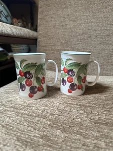 Vintage Pair of Roy Kirkham Fruit Garden Fine Bone China Mugs - Picture 1 of 3